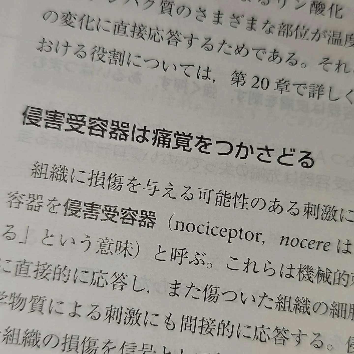 痛みについて調べもの