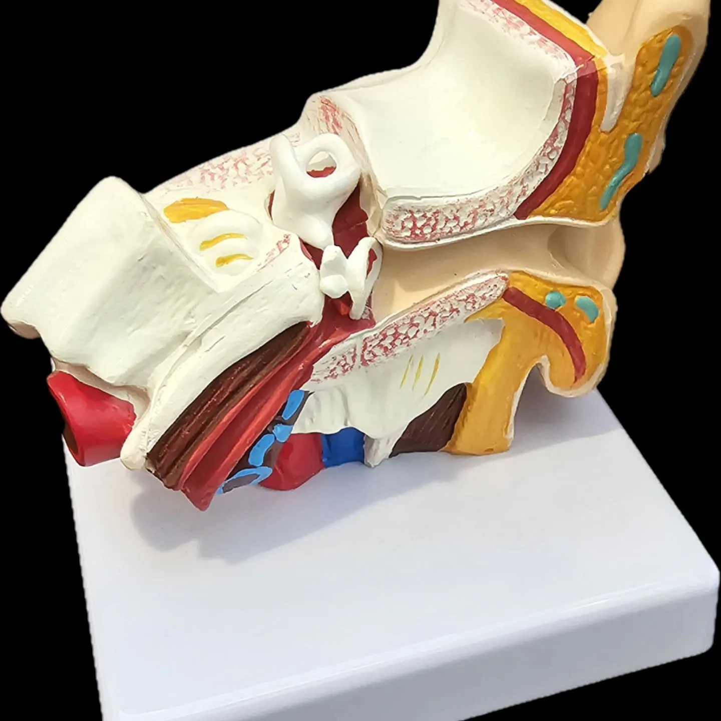 めまい、ふらつきの相談が引き続き多くあります。