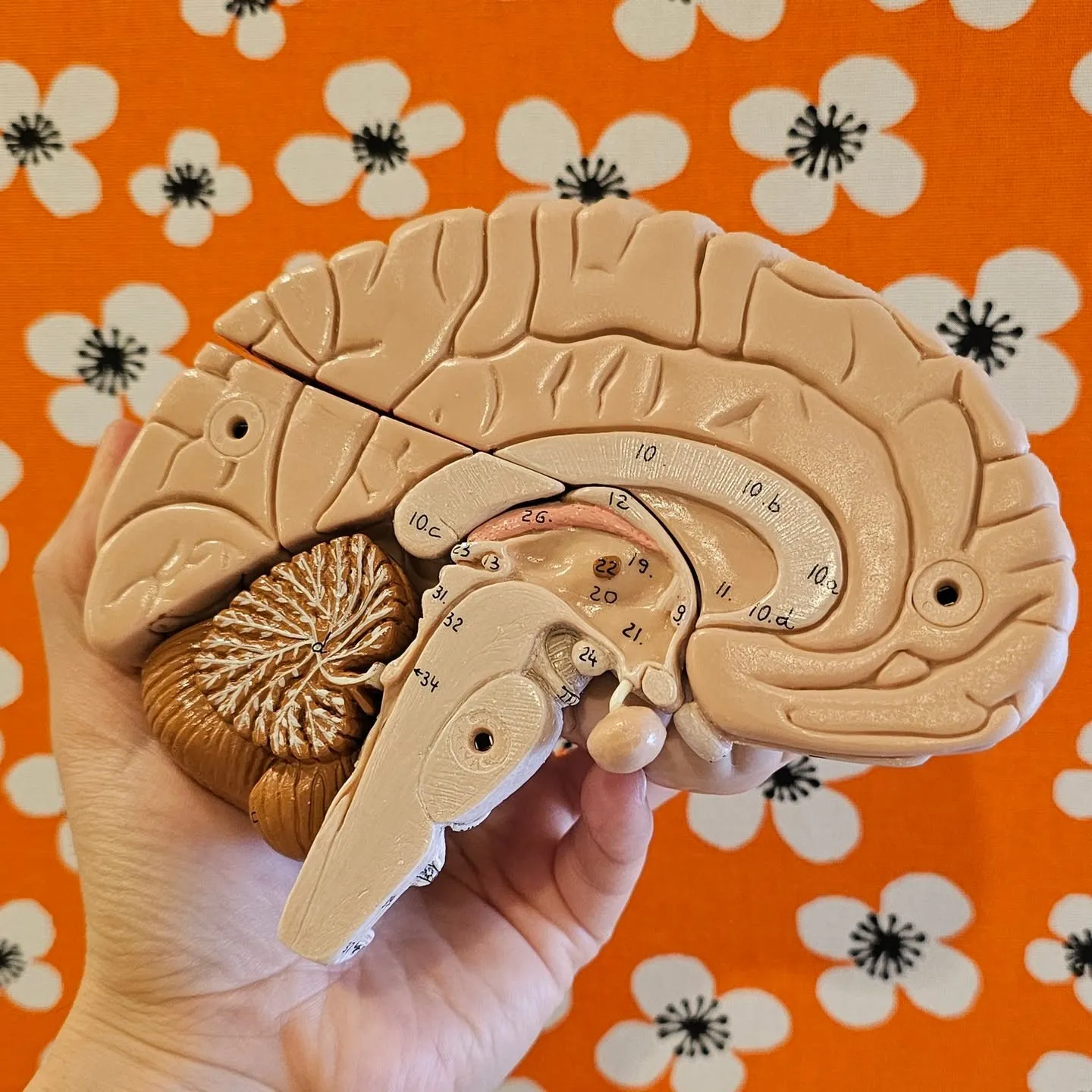 ゴールデンウィークの楽しい休暇が終わった後、日常に戻ると自律...