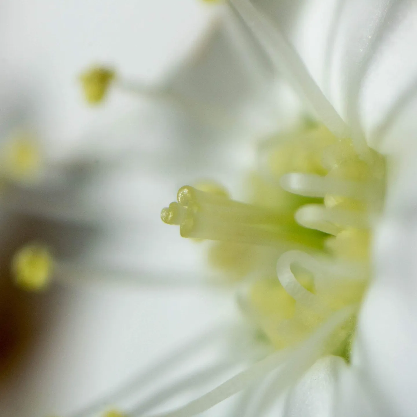 穀雨の季節が到来し、しとしとと降る雨が新緑を育てる頃です。