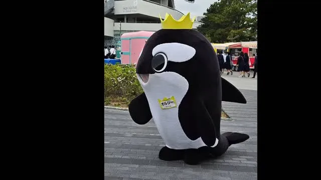 まうすぐ1周年の神戸須磨シーワールド